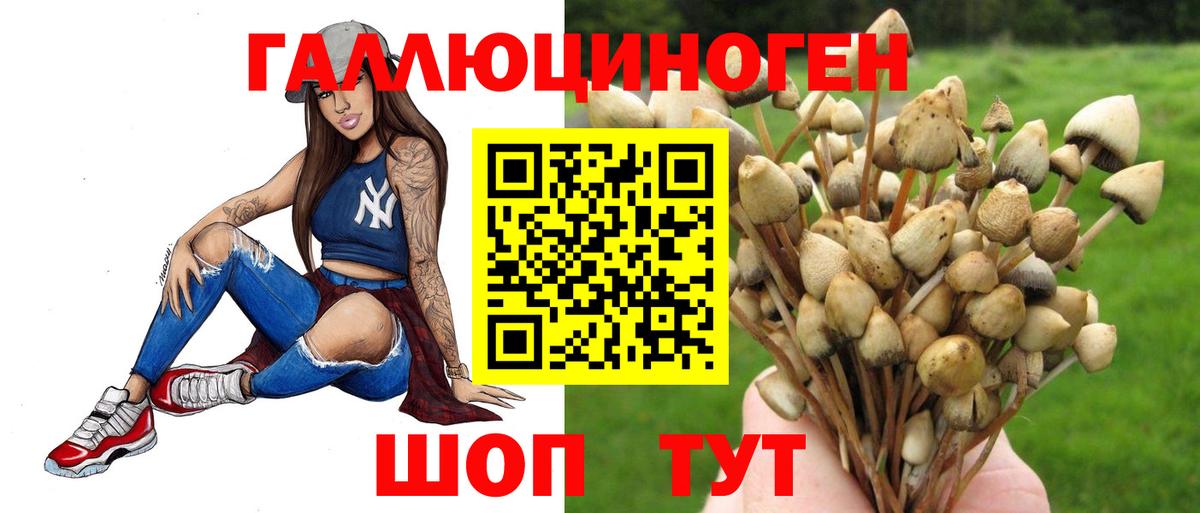 Псилоцибиновые грибы Cubensis Скопин